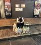 Япония: трогательная забота о ближнем встретилась с практичностью