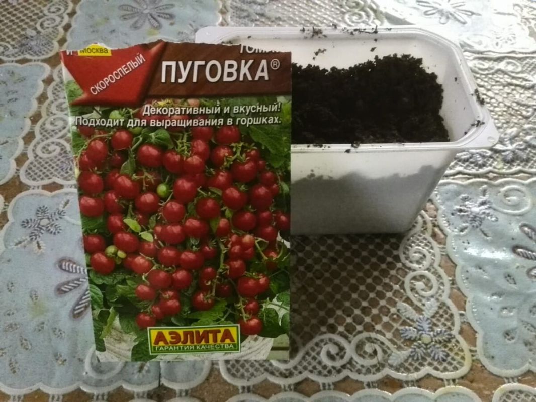 Витамины на подоконнике: как успешно вырастить овощи зимой