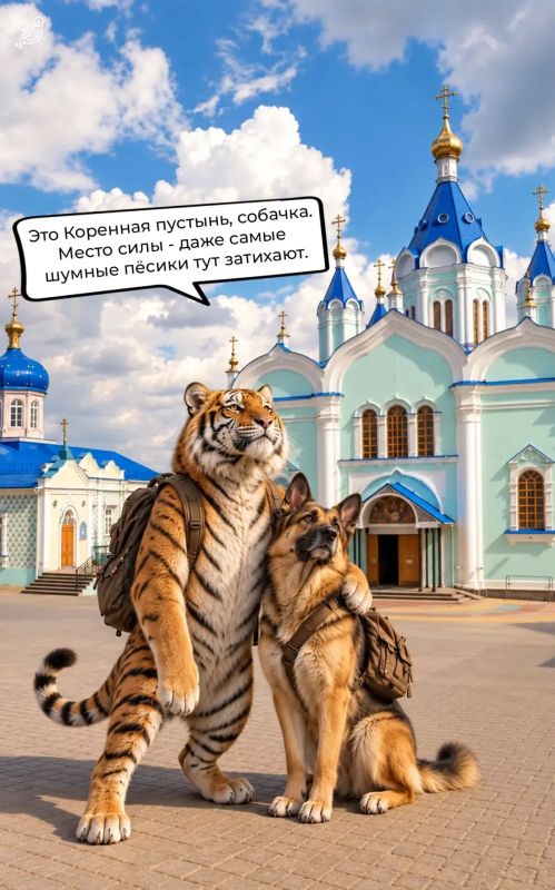 Гуляем по Курску вместе с собачкой! Гуляем по Курску вместе с собачкой!