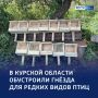 Новые дома для пернатых хищников