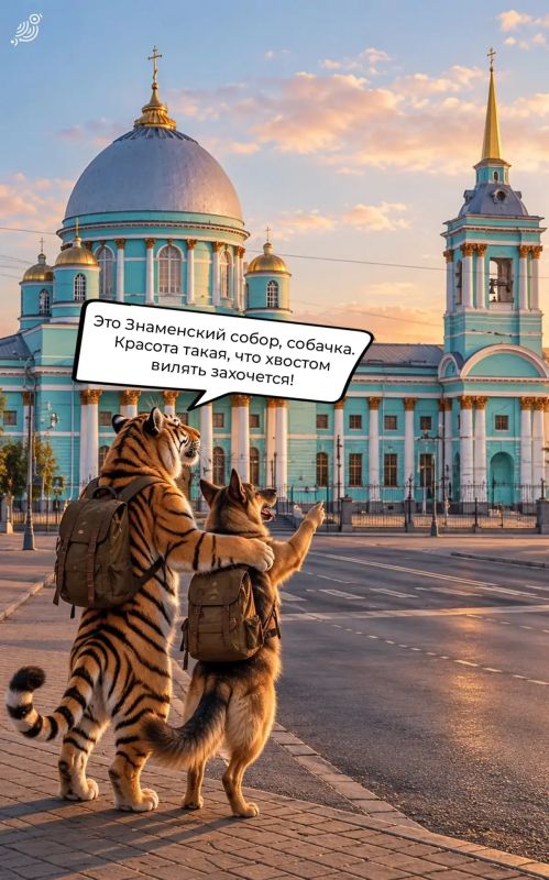 Гуляем по Курску вместе с собачкой! Гуляем по Курску вместе с собачкой!