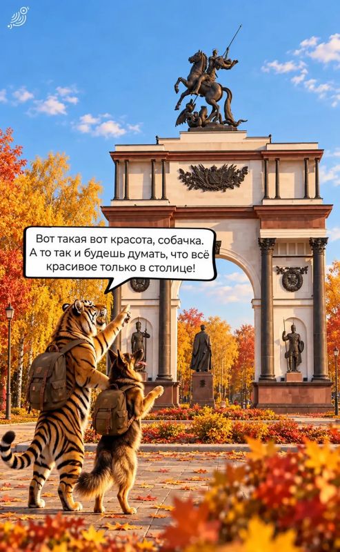 Гуляем по Курску вместе с собачкой! Гуляем по Курску вместе с собачкой!