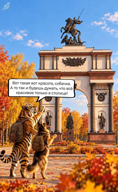 Гуляем по Курску вместе с собачкой! Гуляем по Курску вместе с собачкой!