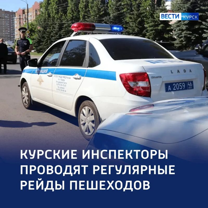 «Ходить — за правилами следить»: в Курске оштрафовали более тысячи пешеходов