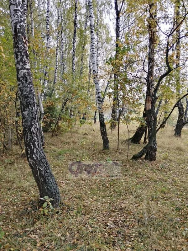 В Курской области октябрь начнется с температуры от 3 до 19 градусов