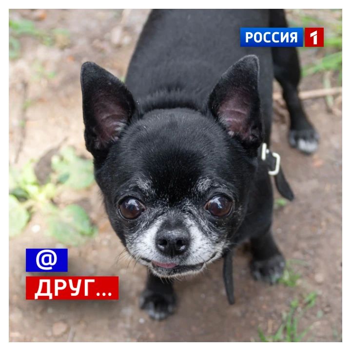 30 сентября, среда. Сегодня День интернета в России