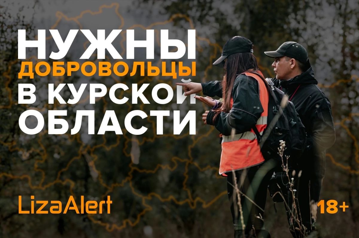 Никто из нас не рождается с умением искать