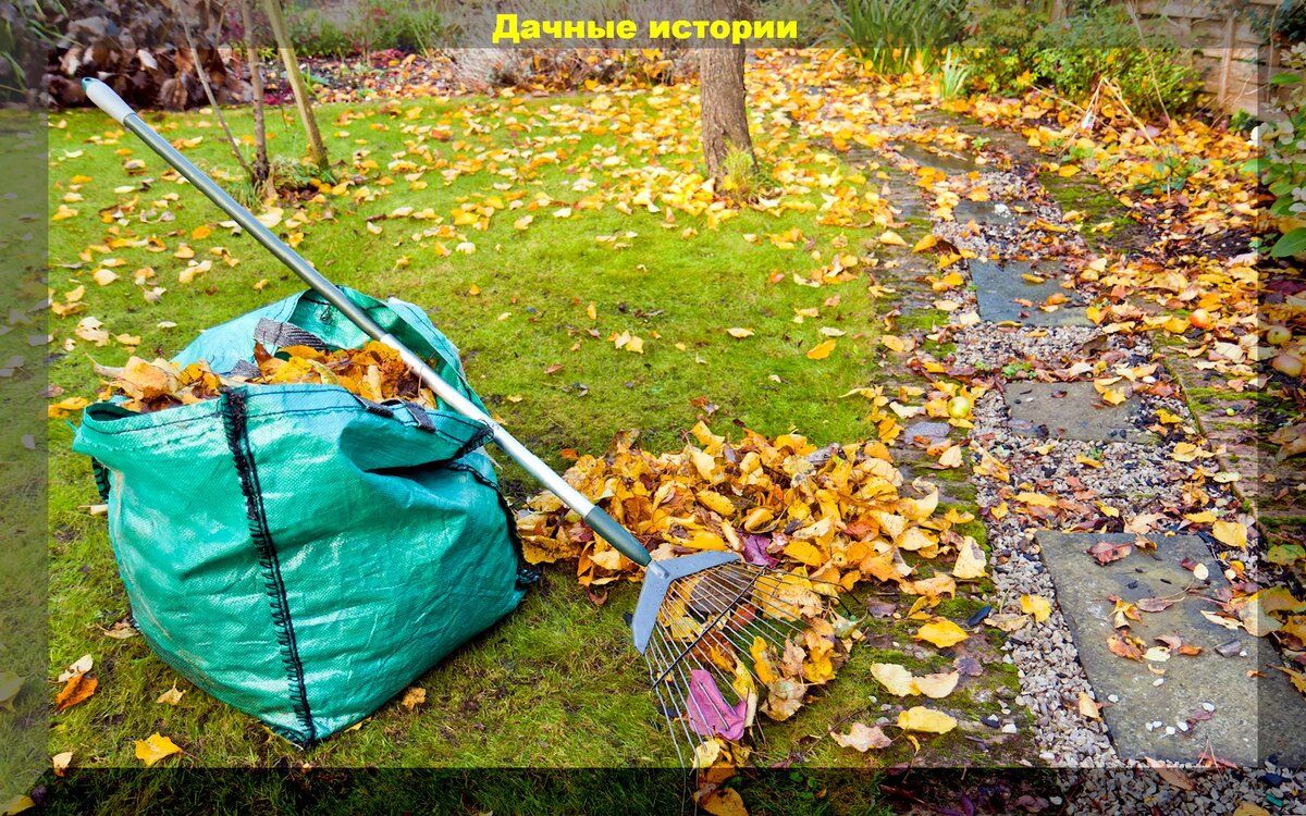 Сентябрь: время прощаться с летом и подготовиться к новому сезону