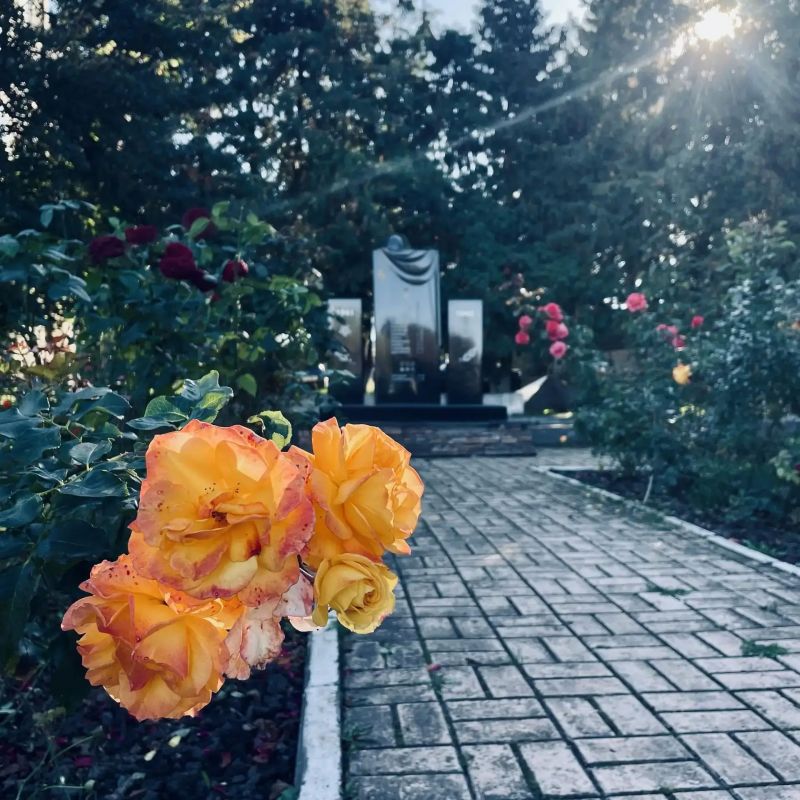 Порядок в городе начинается с малого: с нашего двора, нашей улицы, нашего дома Порядок в городе начинается с малого: с нашего двора, нашей улицы, нашего дома
