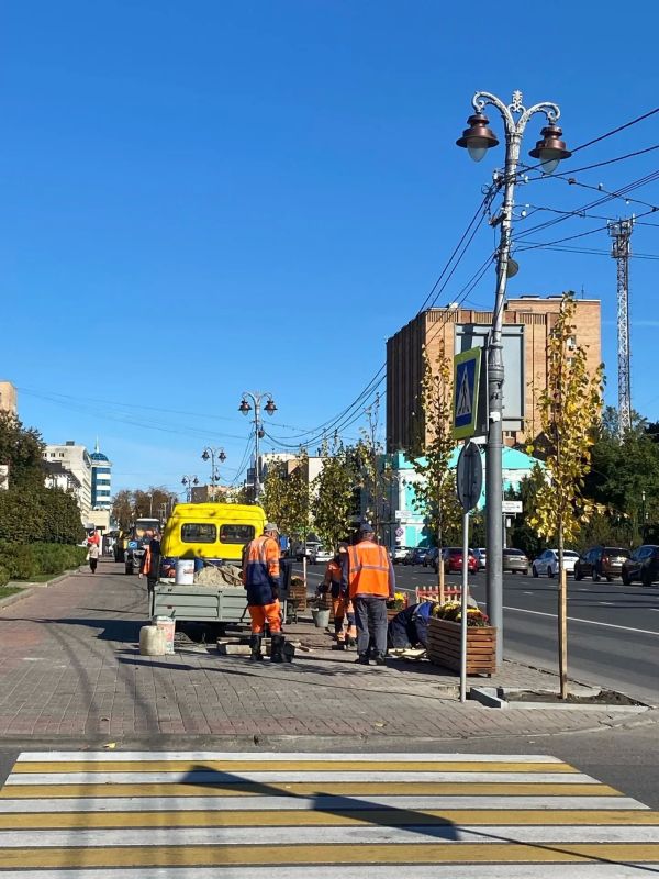 В Курске на улице Ленина высаживают липы В Курске на улице Ленина высаживают липы