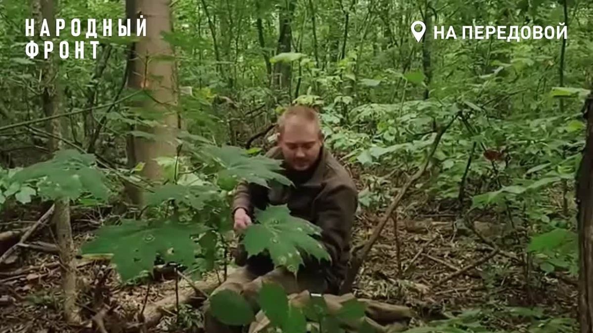 Учителям — с благодарностью из самого сердца Курского приграничья!