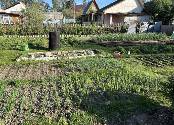 Осень на подходе: как подготовить кустарники к зиме и сохранить богатый урожай ягод