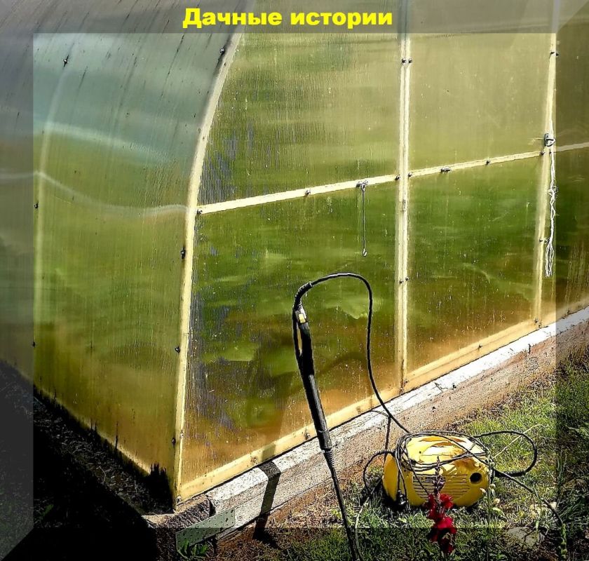 Секреты успешной обработки грунта в теплице