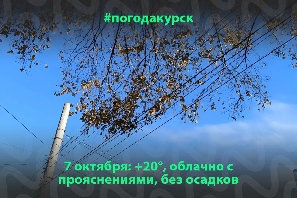До +20° без осадков ожидается в Курской области 7 октября