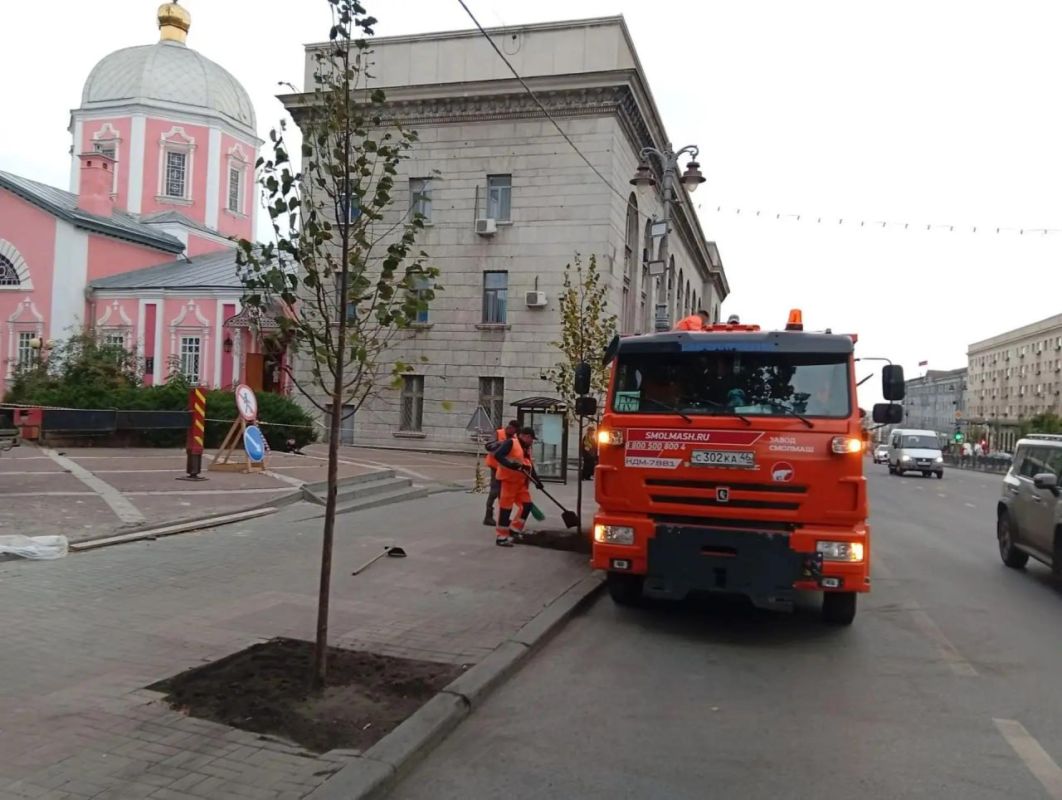 В Курске на участке от Красной площади до площади Перекальского высадили еще 18 молодых лип В Курске на участке от Красной площади до площади Перекальского высадили еще 18 молодых лип