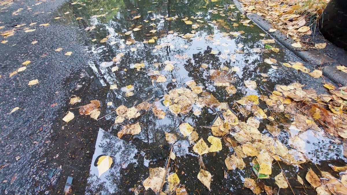 В Курской области, несмотря на небольшие дожди, сохранится довольно тёплая погода