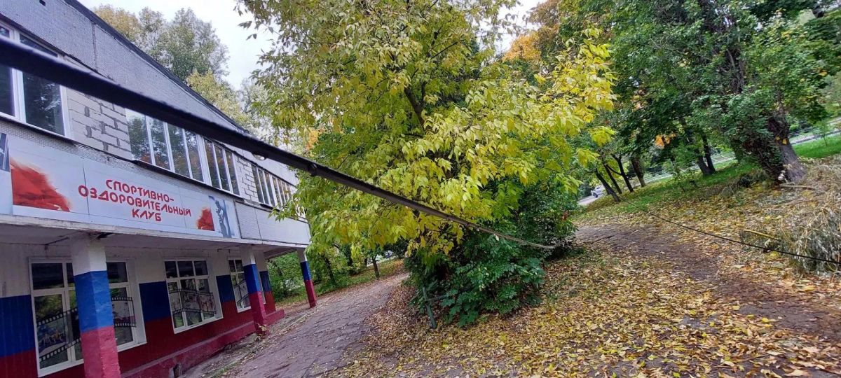 В Курске городские службы устроили свалку из веток ивы на Комарова В Курске городские службы устроили свалку из веток ивы на Комарова