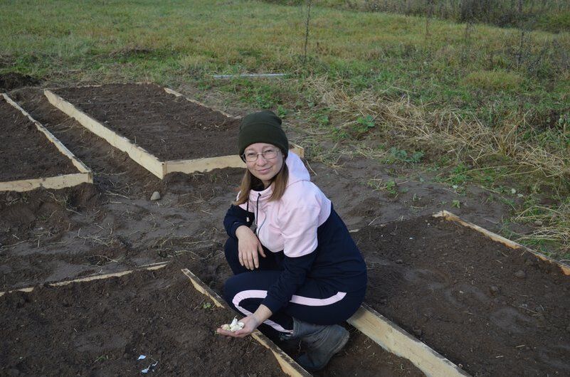 Зола в лунку, борная кислота на зубчики: как подготовить чеснок к зимней посадке