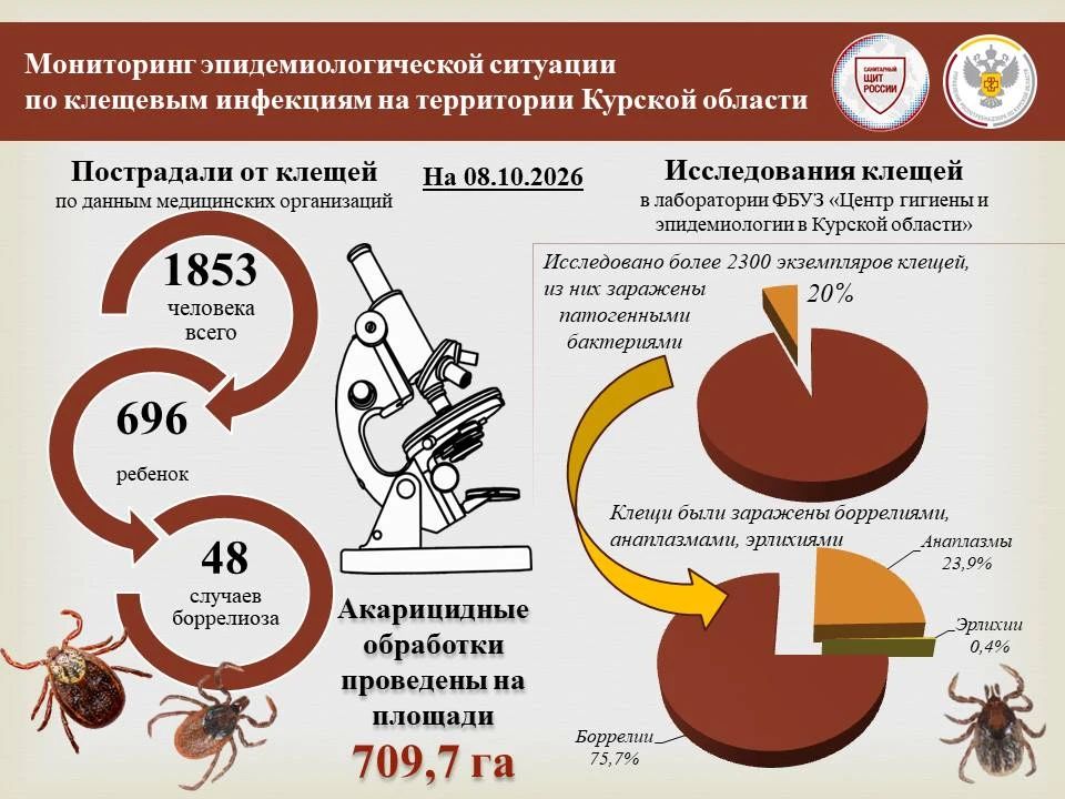 По состоянию на 08 октября 2026 г. в медицинские организации Курской области по поводу присасывания клещей обратились 1853 человека, в том числе 691 ребенок до 14 лет, что на 12,0% ниже обращаемости в аналогичном периоде...