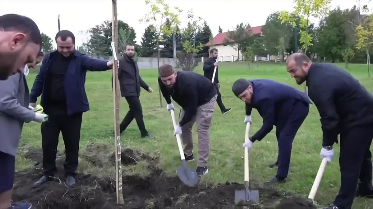 Главы городов и районов Ингушетии высадили деревья в честь 245-летия Назрани