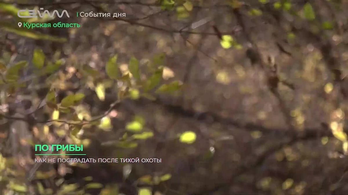 Пошли грибы - и мы за ними! А вслед за грибами - и все наши любимые блюда: жареная картошечка с лисичками, ароматный суп с опятами, хрустящие солёные грузди…