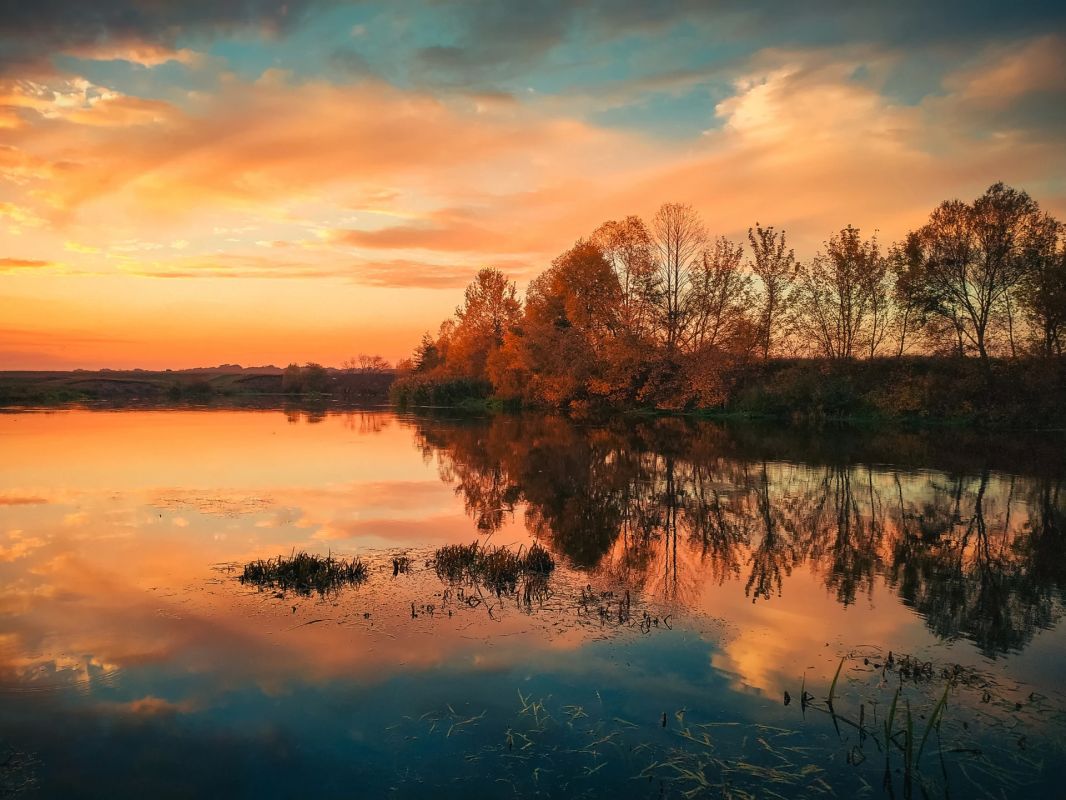 Краски осени. Фото: Александр Башкеев Краски осени. Фото: Александр Башкеев