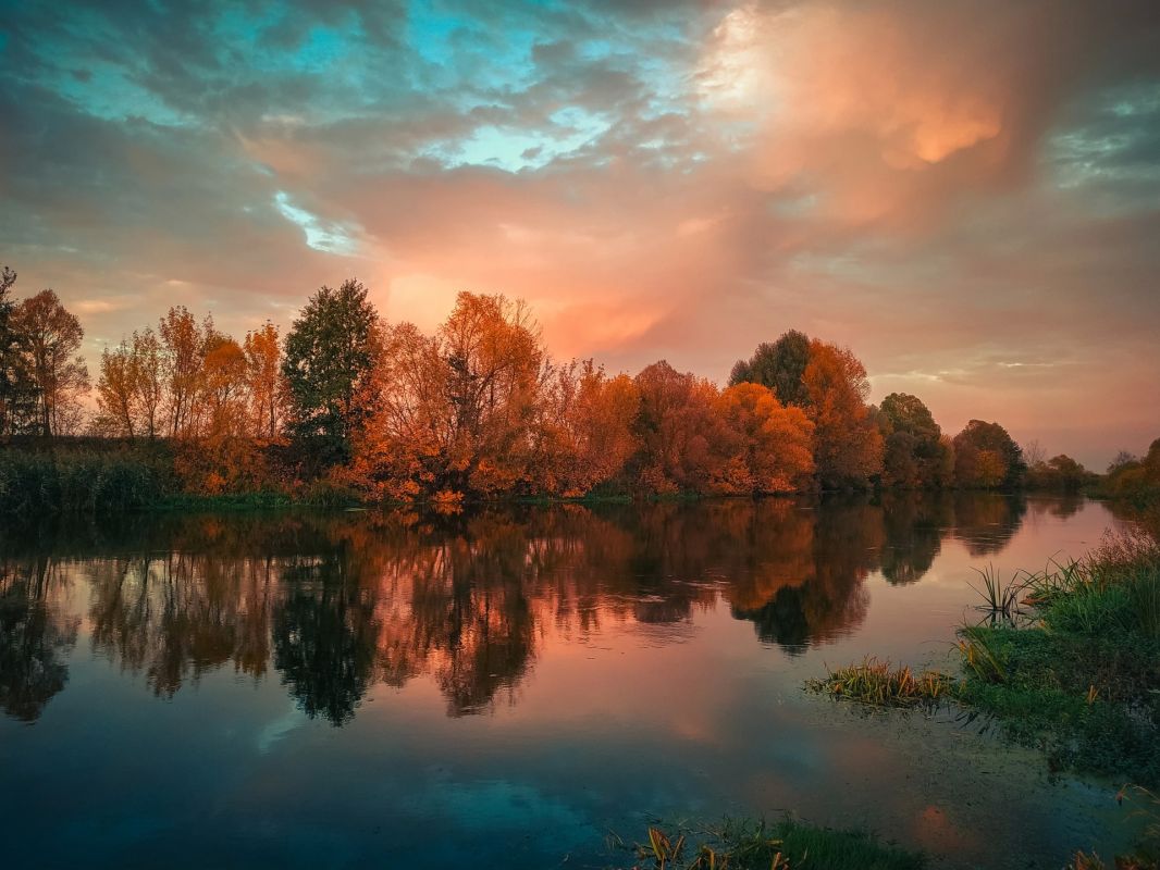 Краски осени. Фото: Александр Башкеев Краски осени. Фото: Александр Башкеев