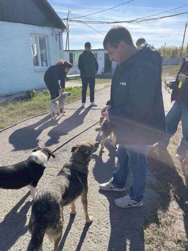Коллектив УФК по Курской области поддержал приют для животных «Право жить» Коллектив УФК по Курской области поддержал приют для животных «Право жить»
