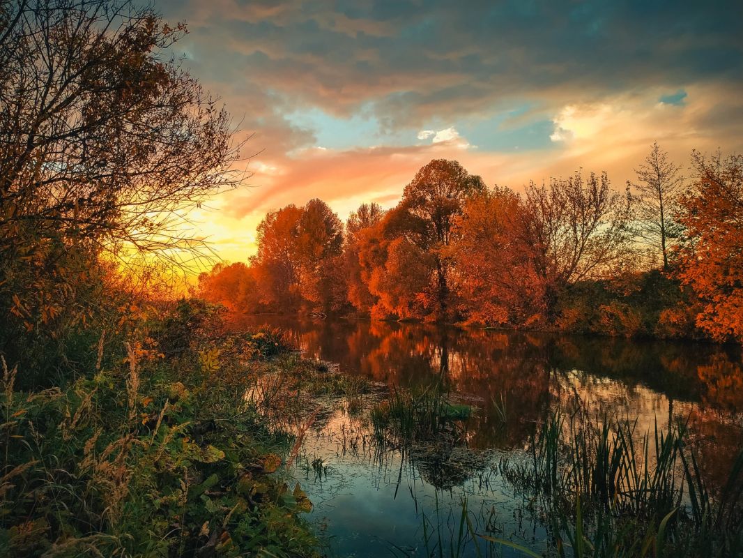 Краски осени. Фото: Александр Башкеев Краски осени. Фото: Александр Башкеев