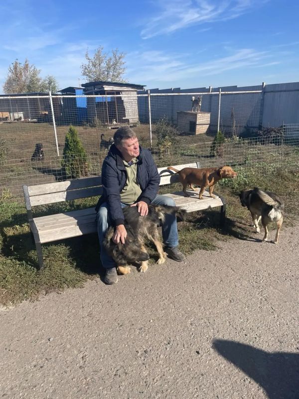 Коллектив УФК по Курской области поддержал приют для животных «Право жить» Коллектив УФК по Курской области поддержал приют для животных «Право жить»