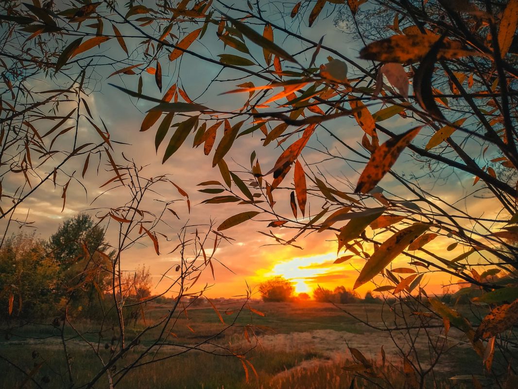 Краски осени. Фото: Александр Башкеев Краски осени. Фото: Александр Башкеев