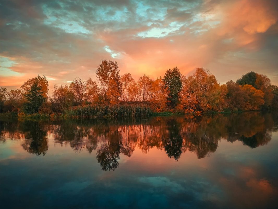 Краски осени. Фото: Александр Башкеев Краски осени. Фото: Александр Башкеев