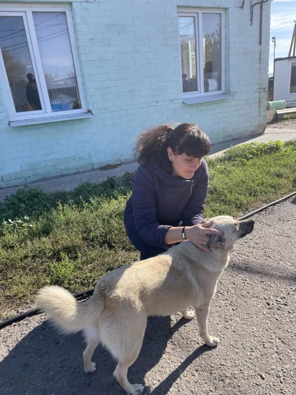 Коллектив УФК по Курской области поддержал приют для животных «Право жить» Коллектив УФК по Курской области поддержал приют для животных «Право жить»