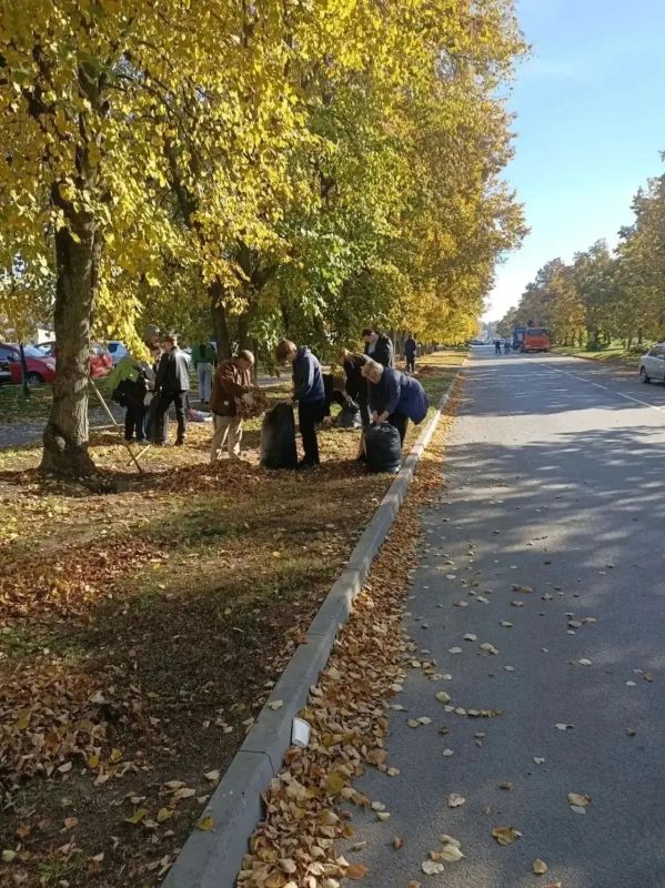 В Курске от мусора и листвы очистили два сквера и сад «Победы» В Курске от мусора и листвы очистили два сквера и сад «Победы»
