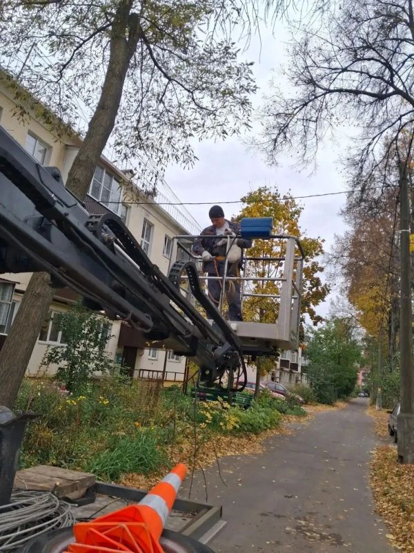 Не бывает маленьких бед: коммунальщики спасли кошку Марси Не бывает маленьких бед: коммунальщики спасли кошку Марси