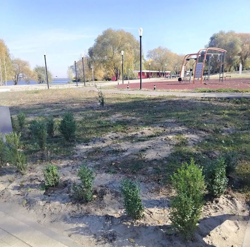 Игорь Корпунков: Парк культуры и отдыха «Тёплый берег» становится ещё краше! Работники парка устроили субботник на территории, прилегающей к недавно открытой спортивной площадке Игорь Корпунков: Парк культуры и отдыха «Тёплый берег» становится ещё краше! Работники парка устроили субботник на территории, прилегающей к недавно открытой спортивной площадке
