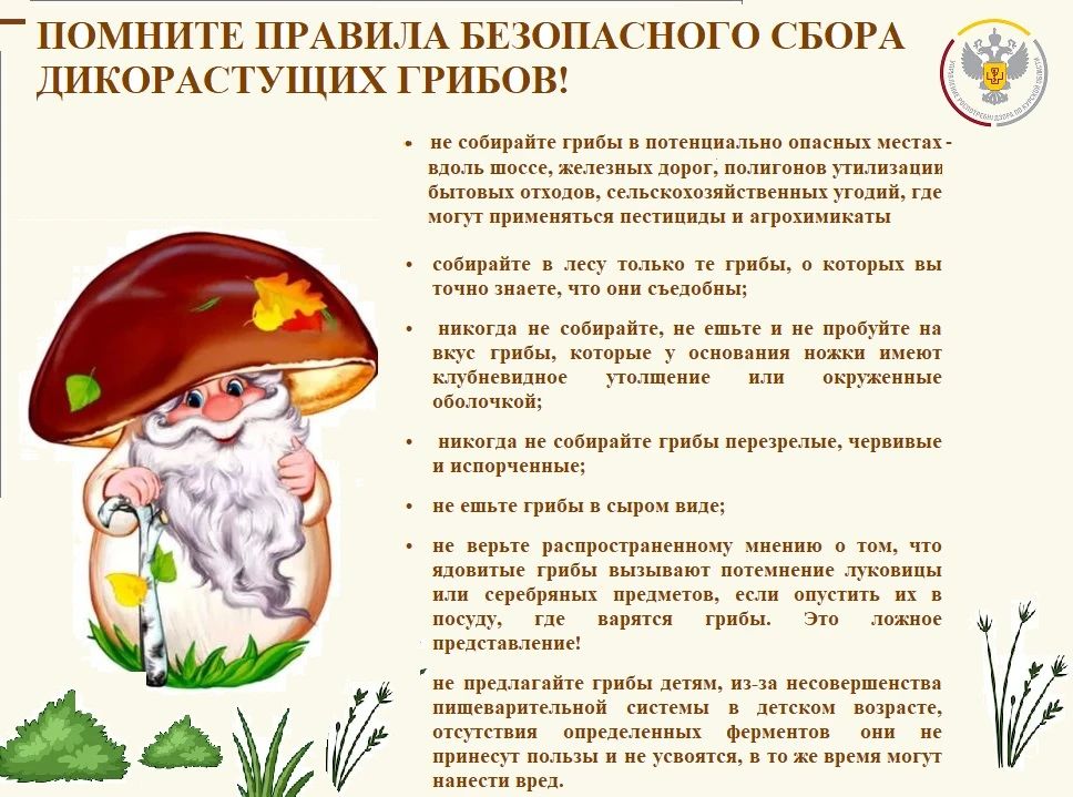С начала года в Курской области зарегистрировано 6 случаев отравления дикорастущими грибами с 6 пострадавшими