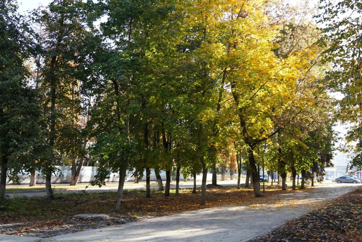 В Курчатове благоустраивают пешеходную зону на Коммунистическом проспекте В Курчатове благоустраивают пешеходную зону на Коммунистическом проспекте