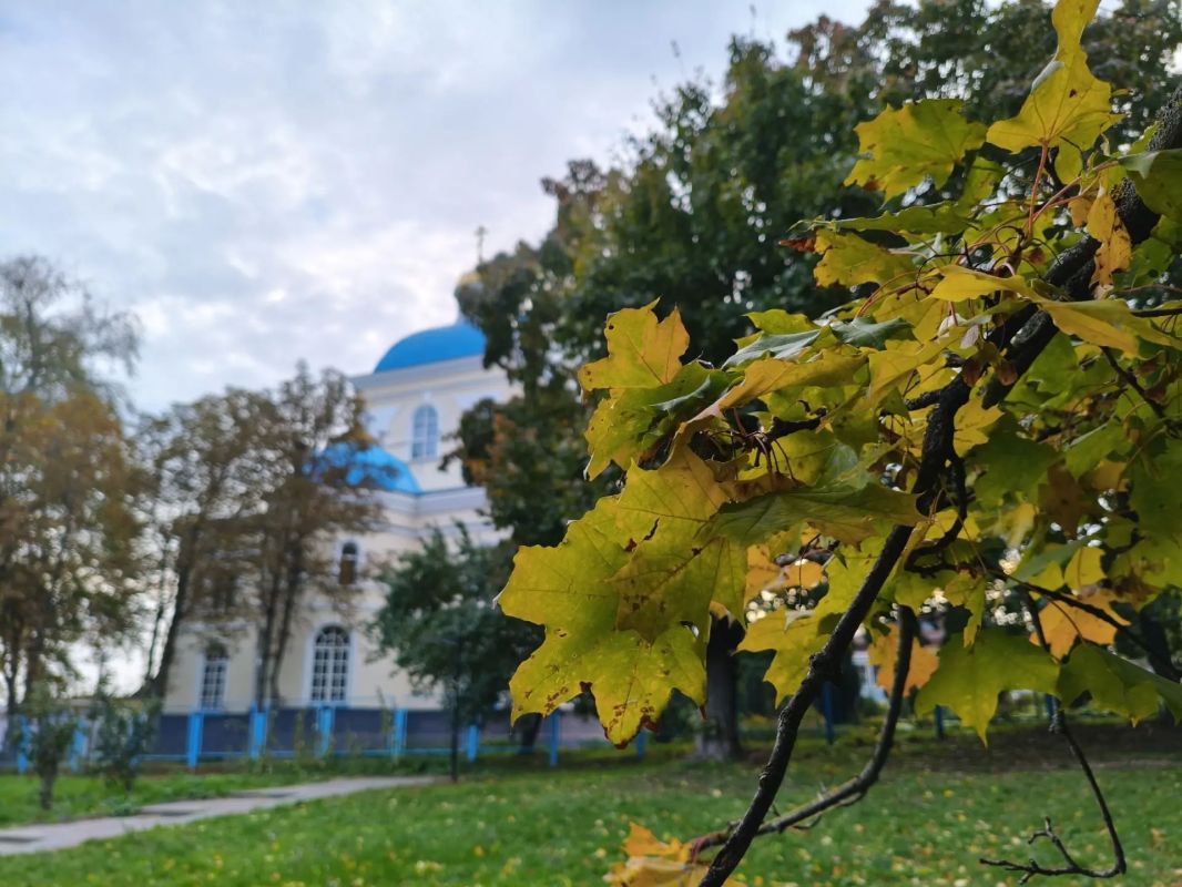 В Курской области 15 октября ожидаются дожди и до 14 градусов тепла