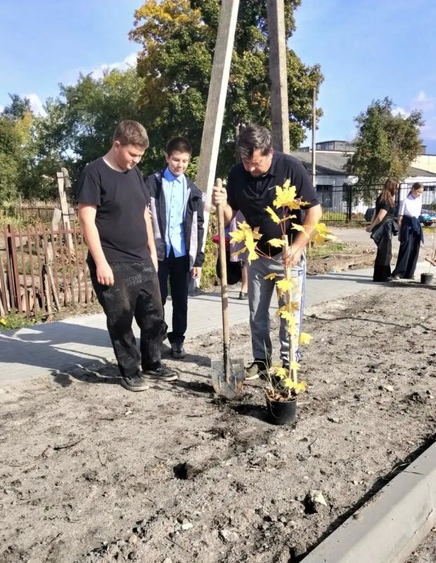 В поселке имени К. Либкнехта появилась новая пешеходная зона на улице Мира В поселке имени К. Либкнехта появилась новая пешеходная зона на улице Мира