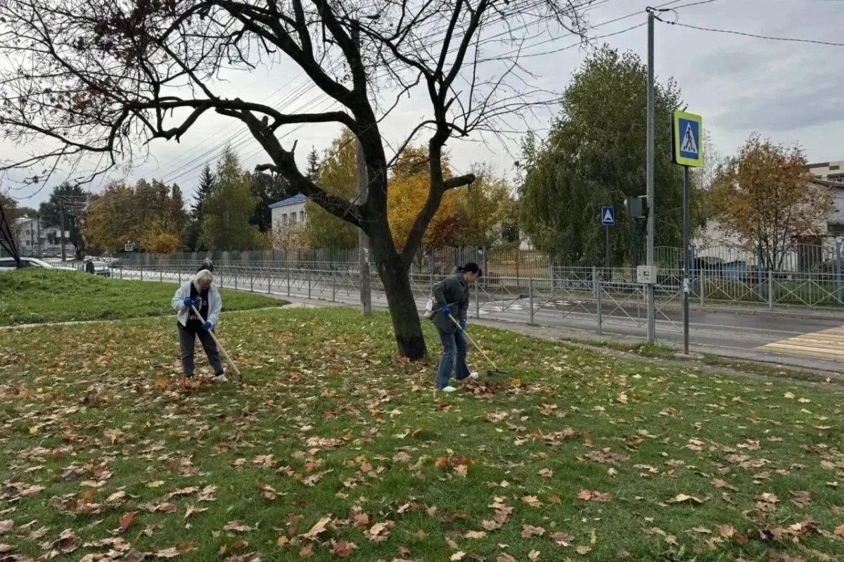 Завтра в Курске пройдет большой осенний субботник Завтра в Курске пройдет большой осенний субботник