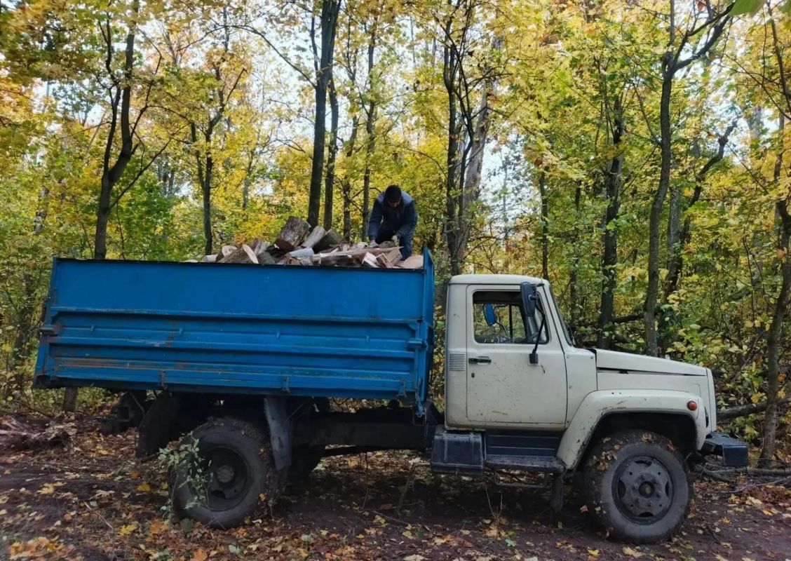 На территории Льговского лесничества прошла акция по заготовке валежной древесины На территории Льговского лесничества прошла акция по заготовке валежной древесины