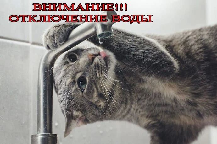 Уважаемые жители п. Золотухино 19.10.2026 года с 11.00 до 14.00 ориентировочно, по ул. Ленина, Орджоникидзе, пер