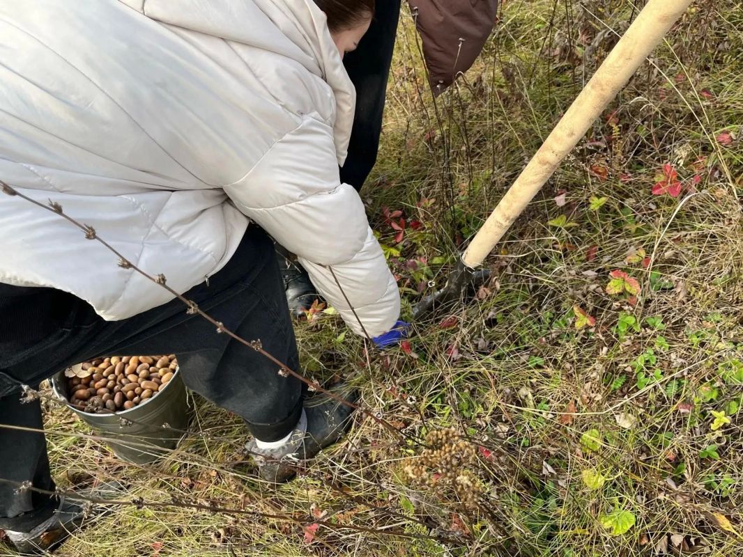 В Щигровском районе заложили байрачную дубраву В Щигровском районе заложили байрачную дубраву