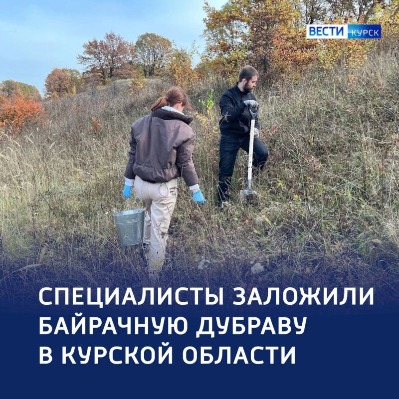 От жёлудя — к карбоновой ферме: в регионе заложили новую дубраву