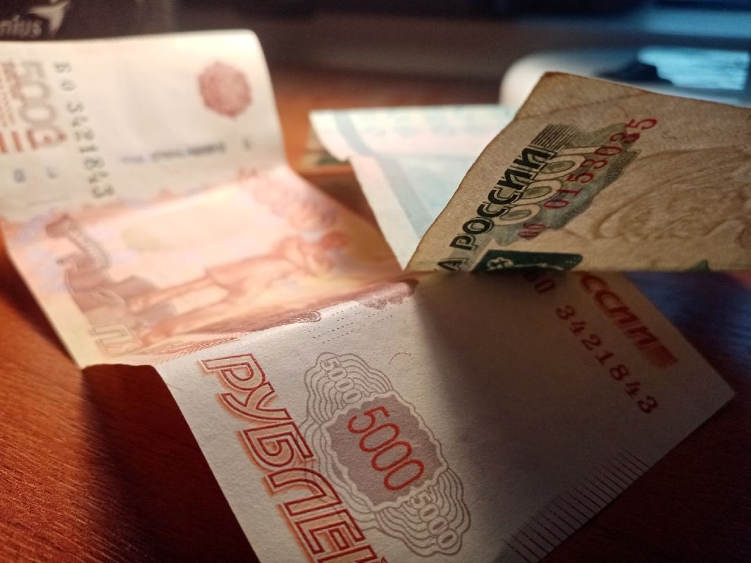 Пенсионерам напомнили о налоговых льготах: что можно не платить в 2026 году