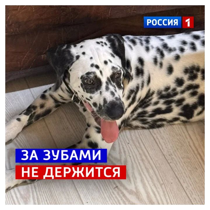 21 октября, среда. Сегодня День болтуна, по другой версии — болтовни