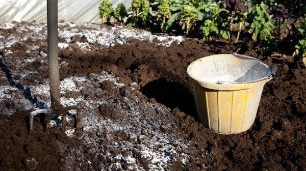 Как осенью раскислить почву: лучшие методы и советы для садоводов