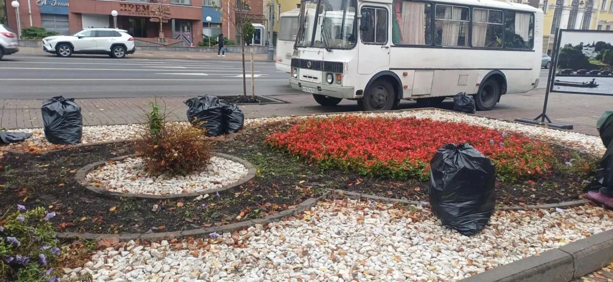 Цветники в парках и скверах Курска готовят к зимнему периоду Цветники в парках и скверах Курска готовят к зимнему периоду