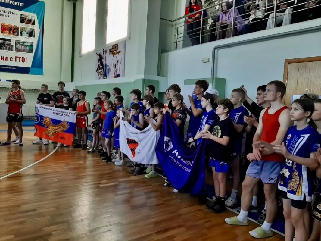 В Курске впервые за 7 лет прошел чемпионат по муай-тай В Курске впервые за 7 лет прошел чемпионат по муай-тай